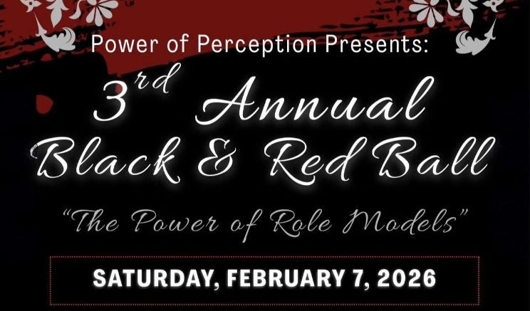 More Info for Power of Perception's Black & Red Ball
