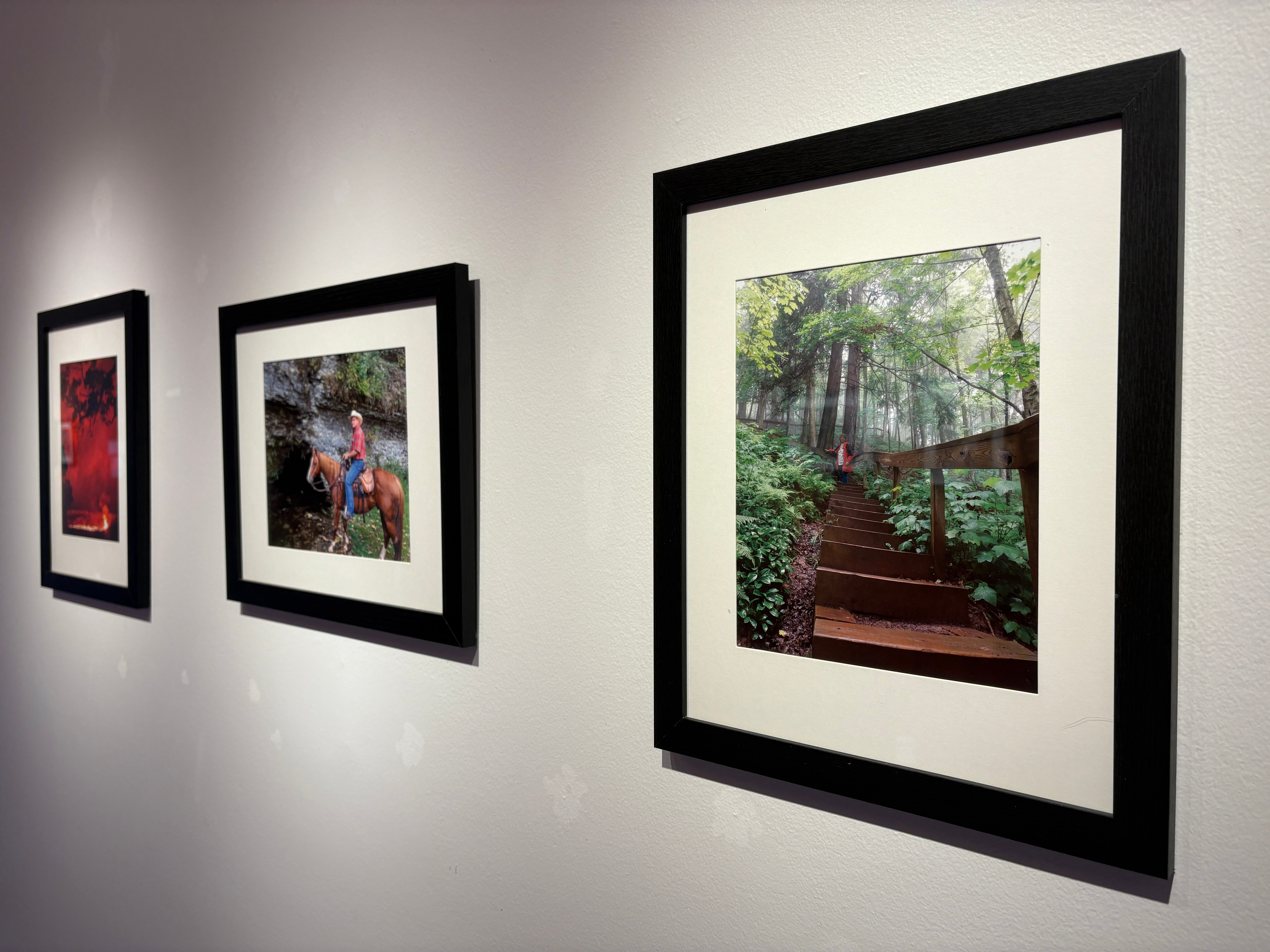 More Info for Parkinson's Awareness Exhibit 