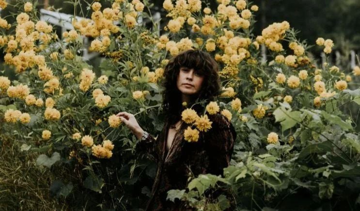 More Info for Lanue - The 715 Series