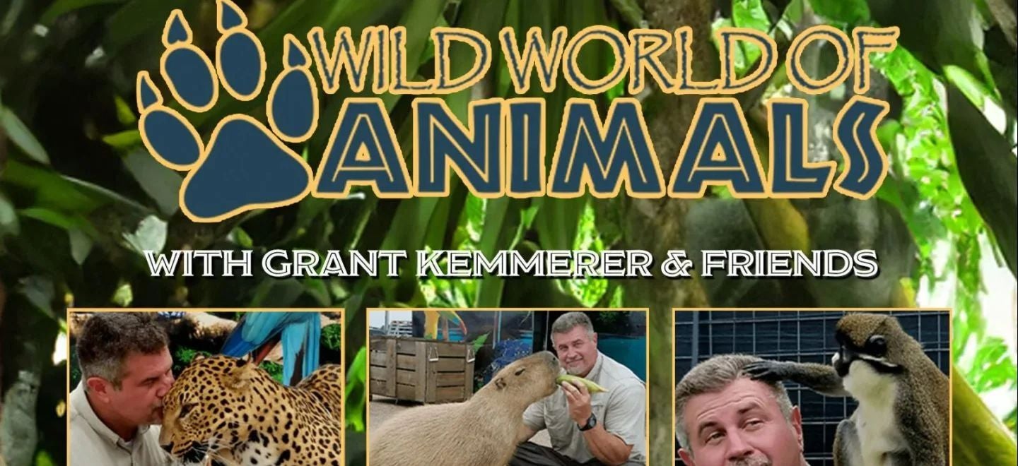Wild World of Animals Live